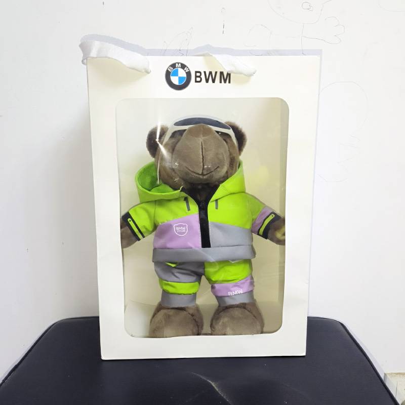 Ski bear plus gift bag